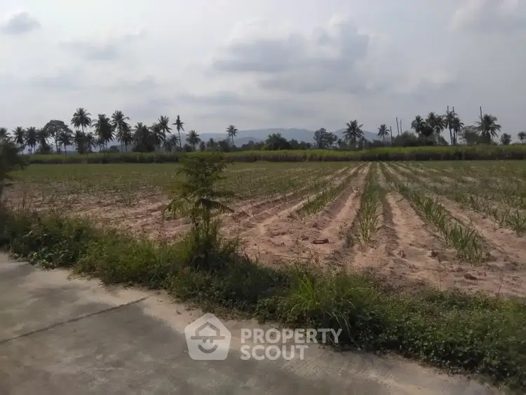 Expansive agricultural land with scenic mountain backdrop and palm trees.