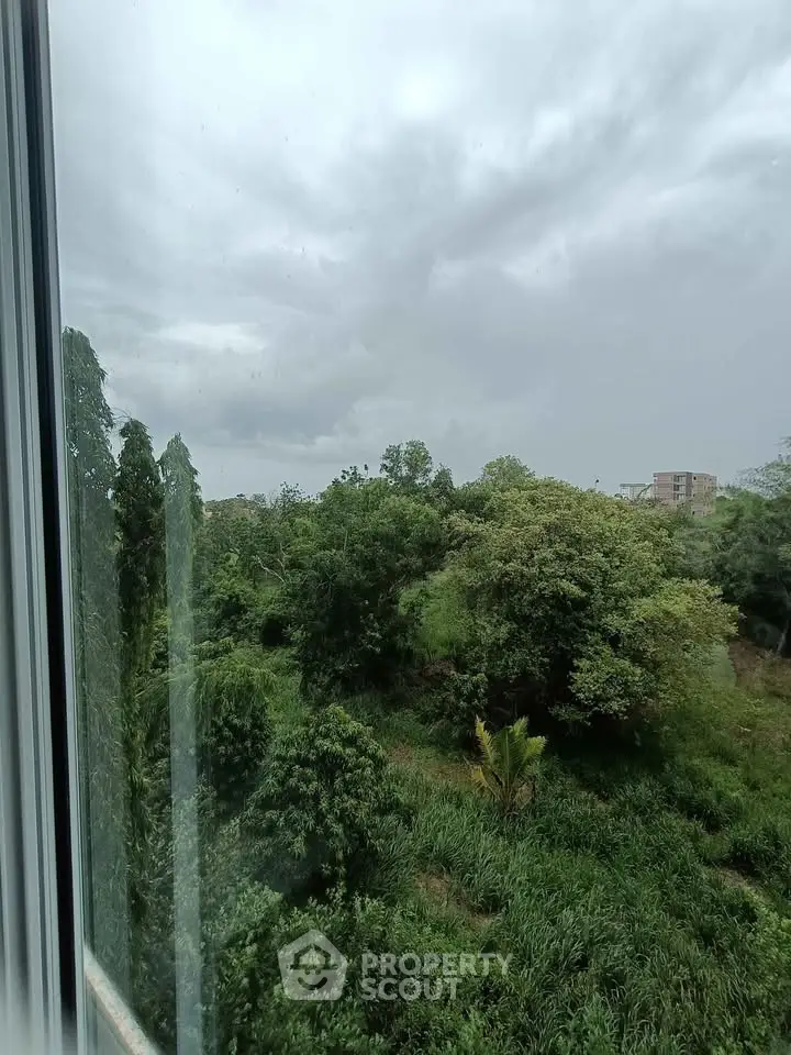 Stunning view of lush greenery from a window, perfect for nature lovers.