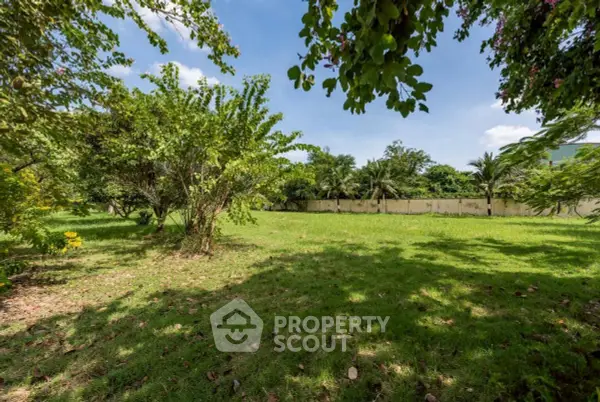 image_rental-27354663