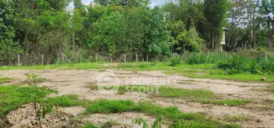 Spacious plot of land surrounded by lush greenery, perfect for development opportunities.