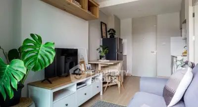 Charming modern living room with stylish decor and compact kitchen area, perfect for cozy urban living.