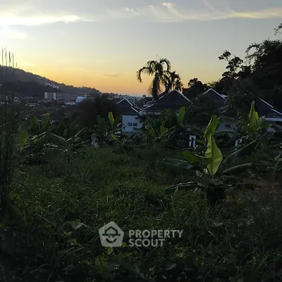 Scenic view of tropical garden with lush greenery and distant rooftops at sunset.