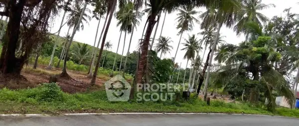 image_rental-31622579