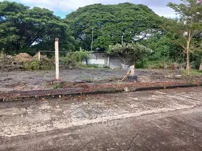 image_rental-27263249