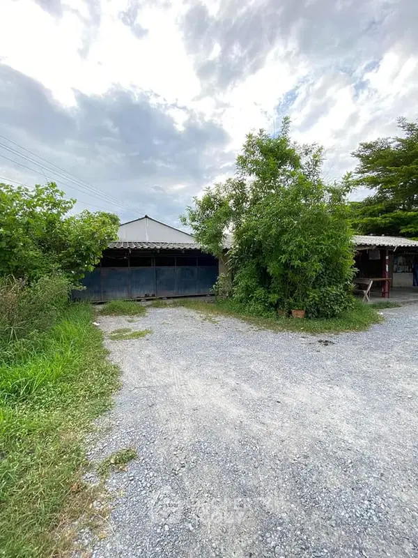 image_rental-13664226