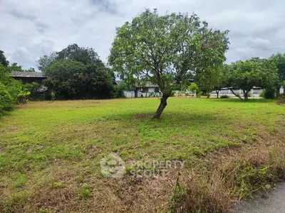 Spacious green plot with mature trees, perfect for building your dream home.