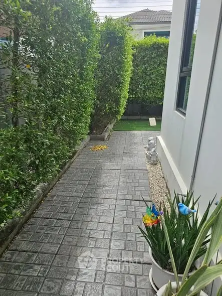 Charming garden pathway with lush greenery and modern exterior design