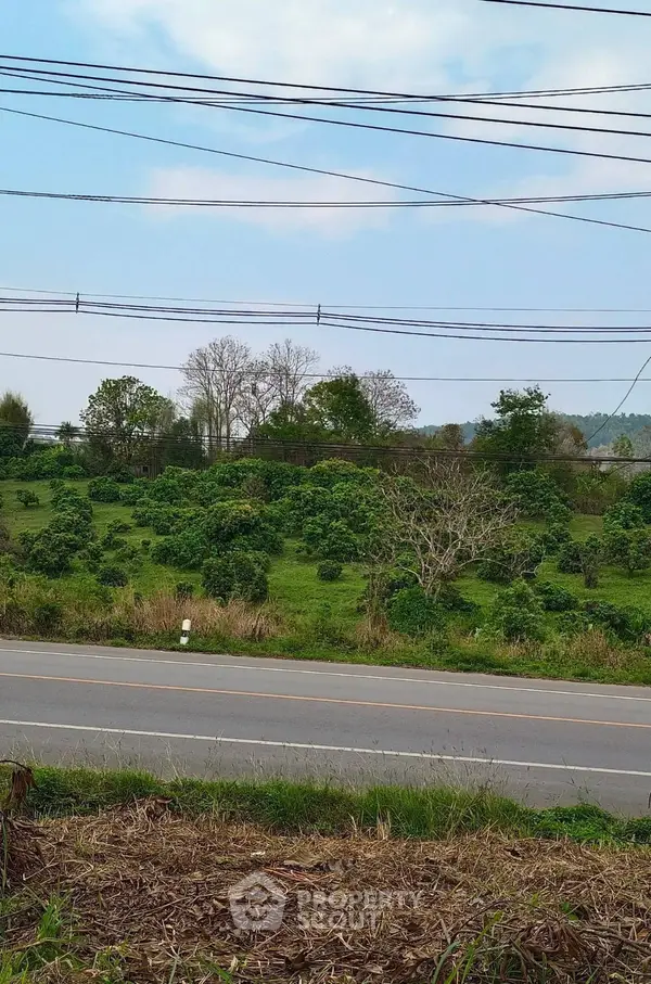 image_rental-17267462