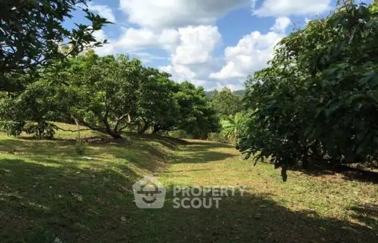 image_rental-21906828