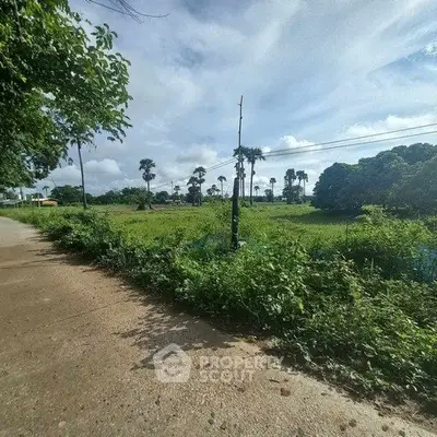 Scenic view of lush green land with palm trees and clear sky, ideal for real estate development.