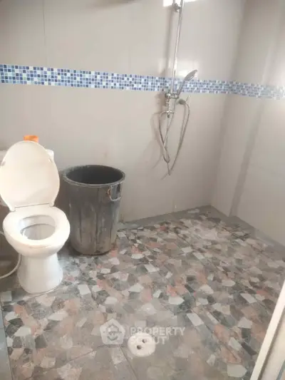 Simple bathroom with shower and toilet, featuring mosaic tile flooring.