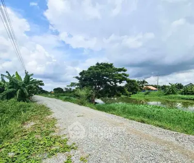 Scenic rural landscape with gravel road and lush greenery, perfect for serene living.