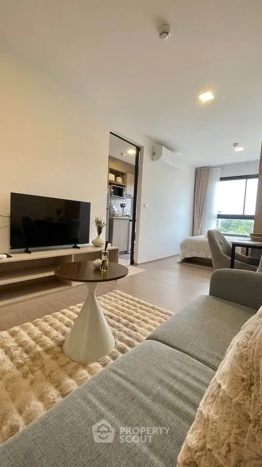 Modern living room with cozy decor and natural light