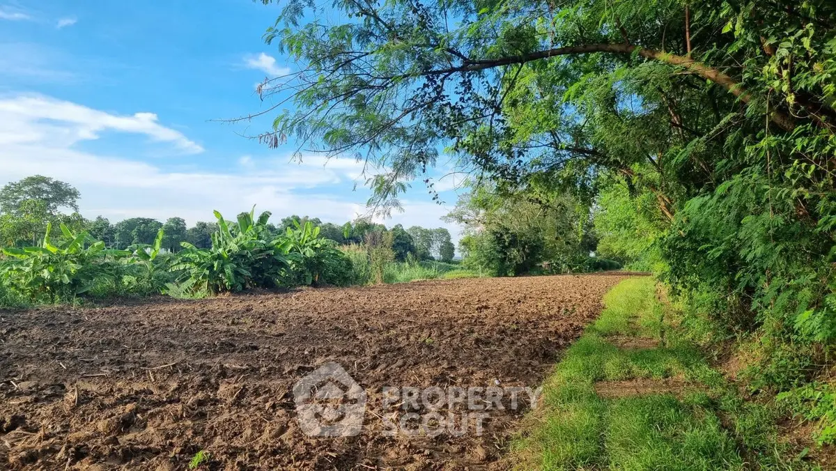 Expansive agricultural land with lush greenery and clear blue sky, perfect for development.