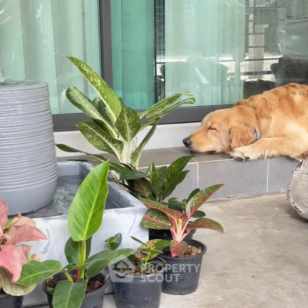 image_rental-26876716