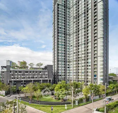 image_rental-31548929