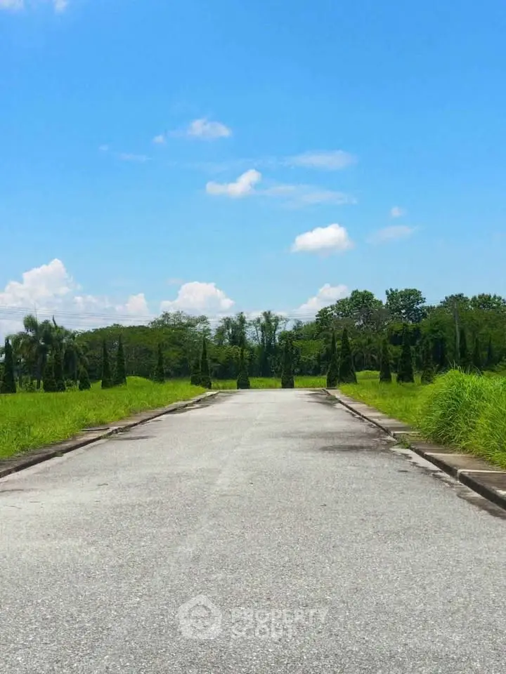 Expansive open road with lush greenery and clear blue sky, perfect for serene real estate development.
