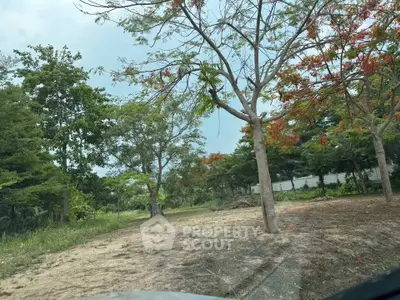 Spacious land plot with lush greenery and mature trees, perfect for development or investment.