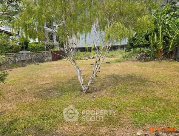 image_rental-31137833