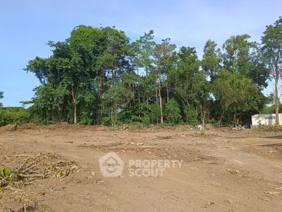 Expansive land plot with lush greenery, ideal for development opportunities.
