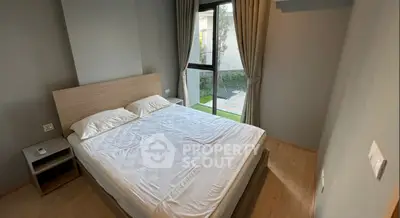 image_rental-31388608