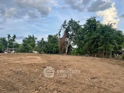 image_rental-31557311