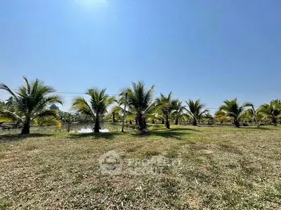 image_rental-31580934