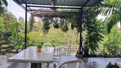 Charming outdoor terrace with lush greenery and scenic views, perfect for relaxation and entertaining.