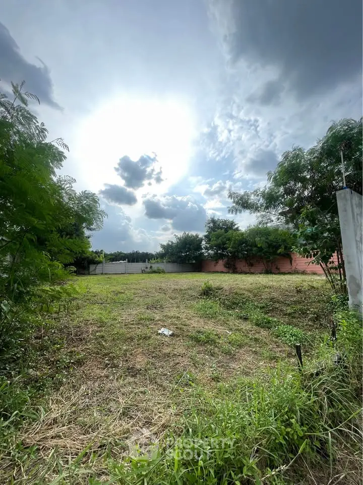 Spacious vacant land with lush greenery, perfect for development opportunities.