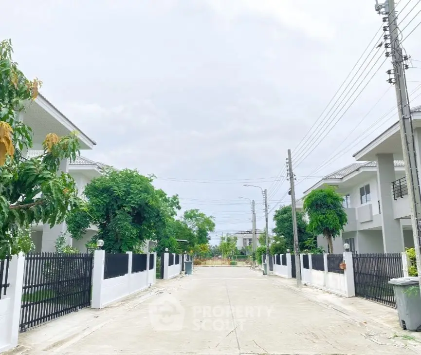 Charming suburban street with modern homes and lush greenery, perfect for family living.