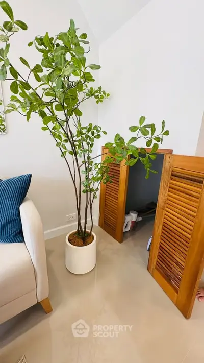 Stylish living room corner with potted plant and wooden shutter doors.