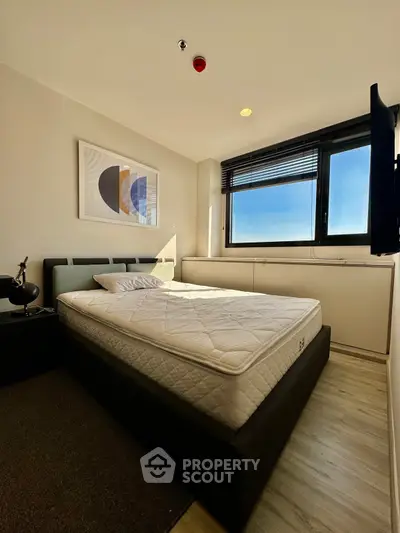 image_rental-29624742