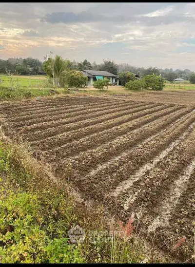 Expansive agricultural land with fertile soil and scenic countryside views, perfect for farming or development.