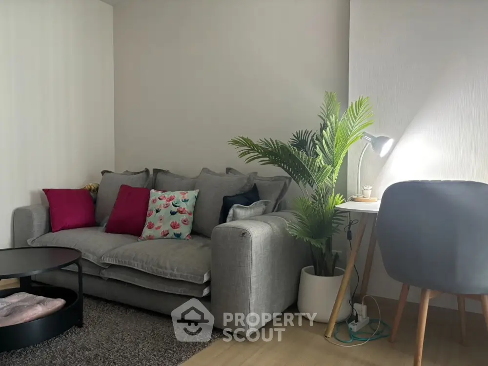 Cozy living room with modern gray sofa and stylish decor