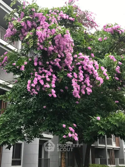 Charming residential building with lush purple flowering tree enhancing curb appeal.