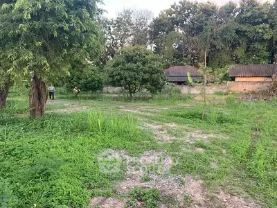 Spacious green plot with trees, ideal for development or landscaping.