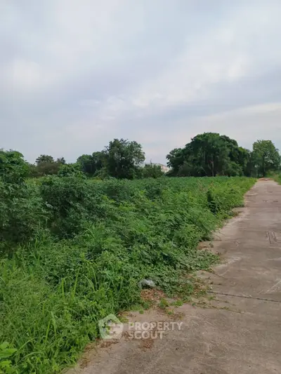 Expansive green land with potential for development, featuring lush vegetation and a clear pathway.