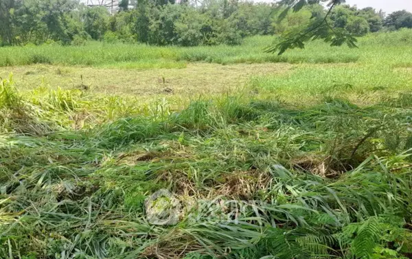 image_rental-31084691