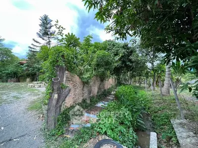 Charming garden pathway with lush greenery and rustic brick wall, perfect for nature lovers.