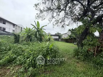 Spacious green garden area with lush vegetation and trees, perfect for landscaping or outdoor activities.