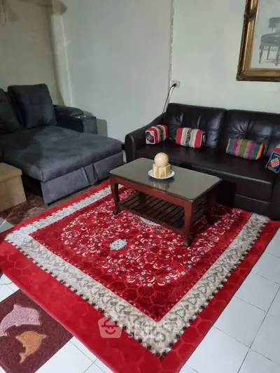 Cozy living room with plush sofas and vibrant red carpet