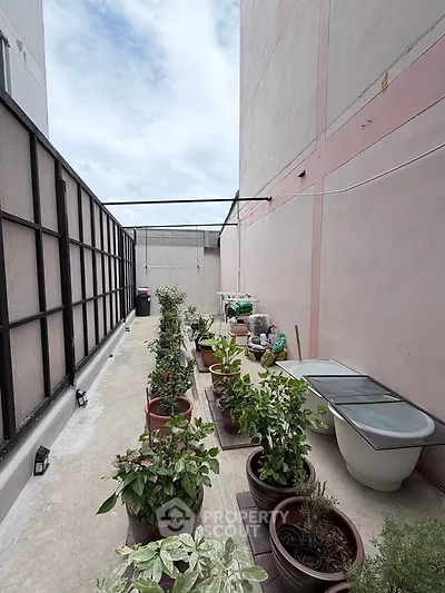 Spacious rooftop garden with potted plants and urban view, perfect for relaxation and gardening enthusiasts.