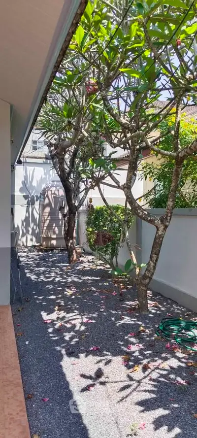Charming garden area with lush greenery and trees in a serene residential setting.