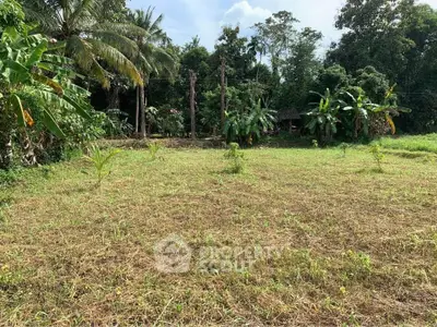Lush tropical land for sale, perfect for development or agriculture, surrounded by greenery and palm trees.