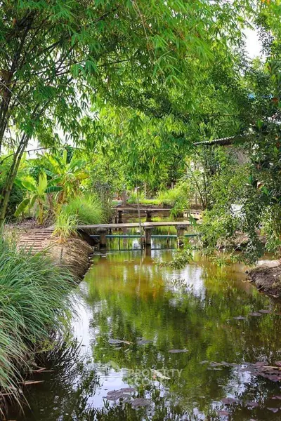 Serene garden view with lush greenery and tranquil water feature
