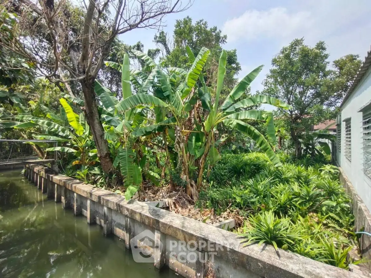 Lush tropical garden oasis with mature banana trees and serene water feature, perfect for a tranquil outdoor living space.