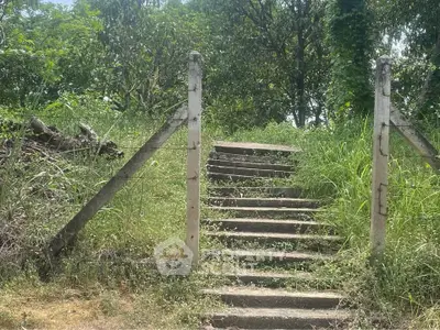 image_rental-31341296