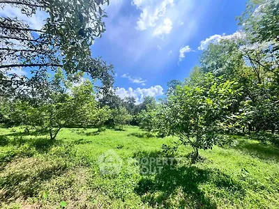 Lush green garden with vibrant trees under a clear blue sky, perfect for serene outdoor living.
