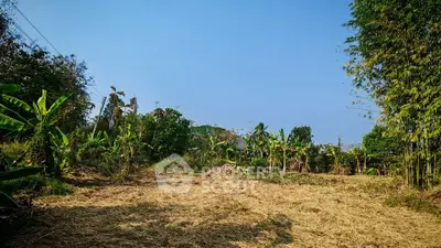 Expansive land plot with lush greenery and clear blue sky, perfect for development or agriculture.