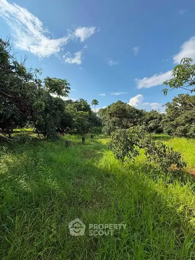 Lush green garden with trees under a clear blue sky, perfect for serene outdoor living.